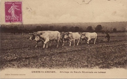 Château-Chinon Attelage de boeufs