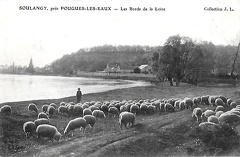 Germigny sur Loire bords de Loire 2