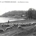 Germigny sur Loire bords de Loire 2