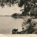 La Celle sur Loire bords de Loire 2