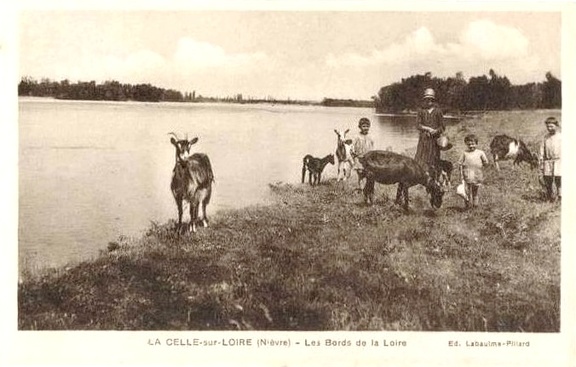 La Celle sur Loire bords de Loire