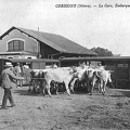 Corbigny Embarquement difficile du bétail à la gare