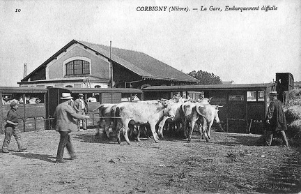 Corbigny Embarquement difficile du bétail à la gare