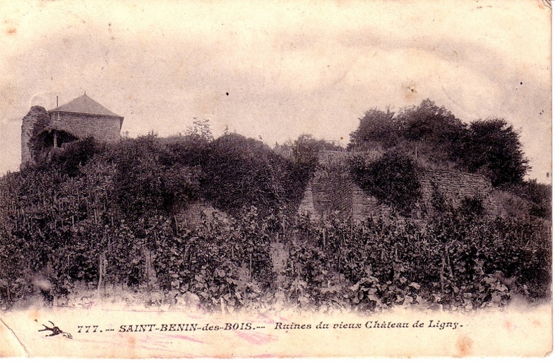 Saint Benin des Bois_Château de Ligny -ruines.jpg