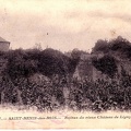 Saint Benin des Bois Château de Ligny -ruines