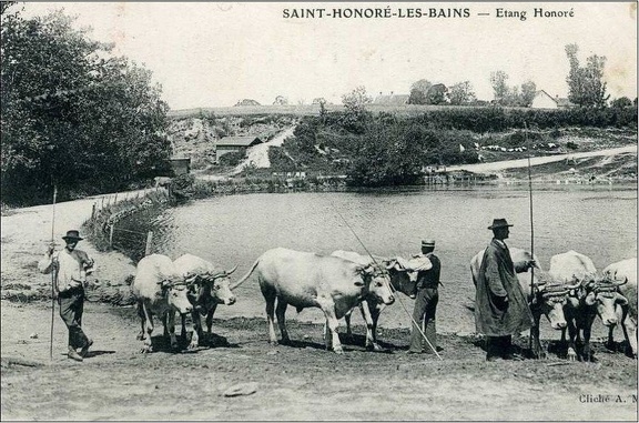 Saint Honoré les Bains Etang Honoré
