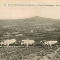 Saint Honoré les Bains Vieille montagne et labourage