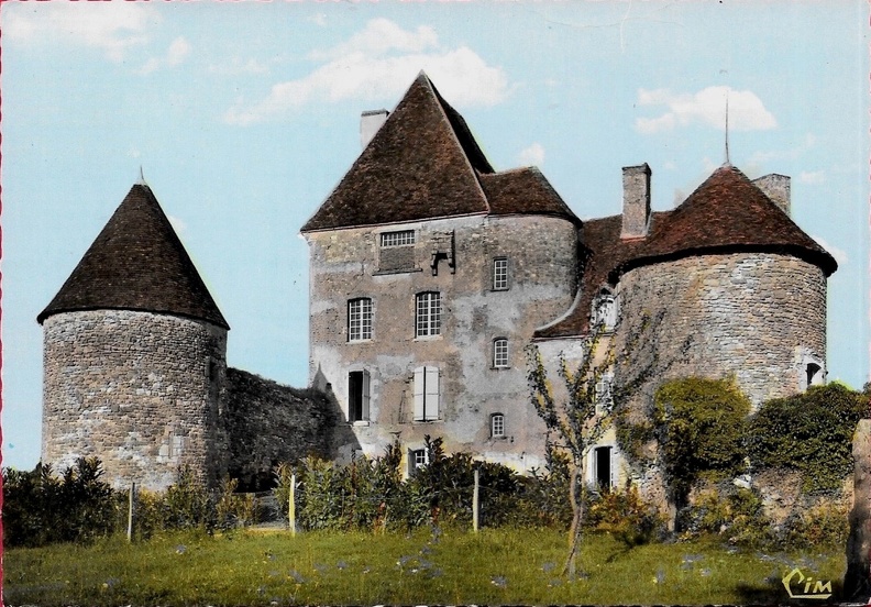 Verneuil vieux chateau 4.jpg
