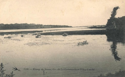 Vitry Laché étangs de Vaux