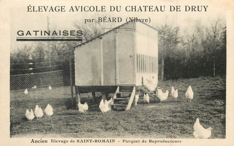Béard_Ancien élevage de Saint-Romain.jpg