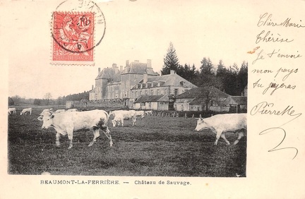 Beaumont la Ferrière Château de Sauvage