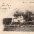 Beaumont la Ferrière Pierre des Elus