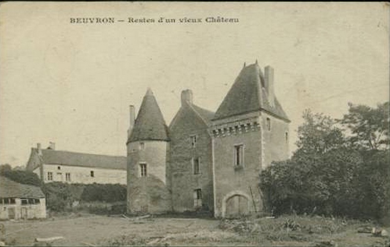 Beuvron_Restes d'un vieux château.jpg