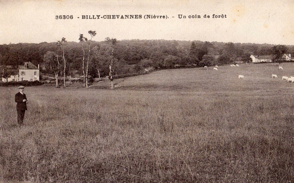 Billy Chevannes Coin de forêt