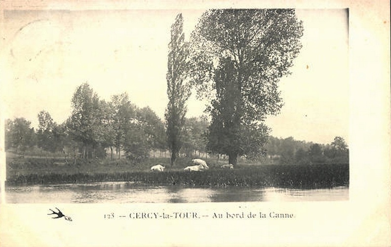 Cercy la Tour_Bord de la Canne.jpg