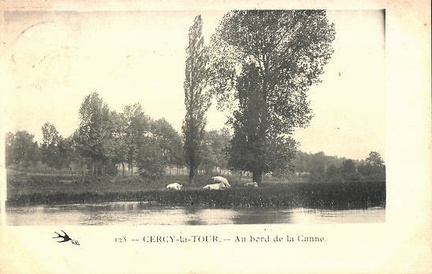 Cercy la Tour Bord de la Canne
