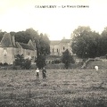 Champlemy Vieux château1