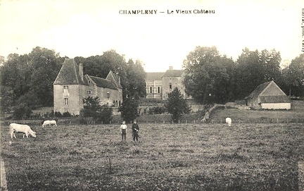 Champlemy Vieux château1