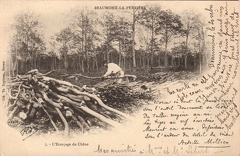 Beaumont la Ferrière Ecorçage du bois