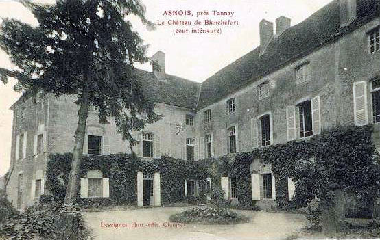 Asnois chateau