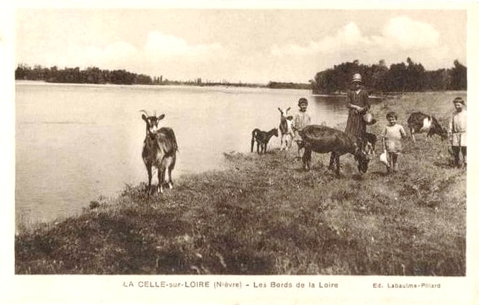 La Celle sur Loire bords de Loire.jpg
